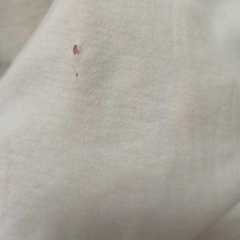 Maviden Alınan T-shirt Delik Deşik Oldu