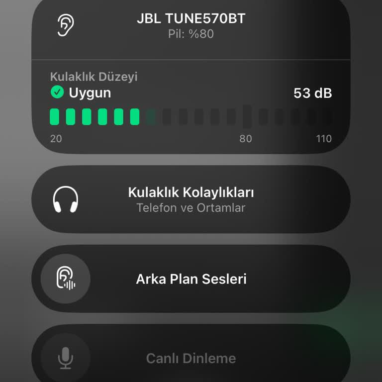 JBL 570BT Şarj Sorunu