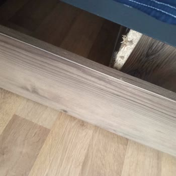 Modalife Yatak Ve Baza Sorunu