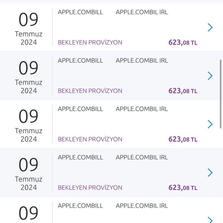 Apple Dikkatin E! Hesabımdan Bilgim Dışında Para Çekildi