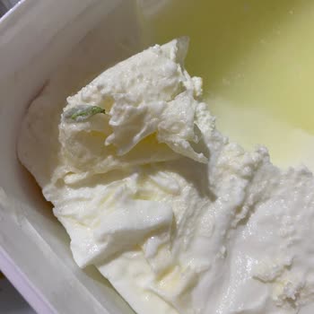 İçim Yoğurt İçinden Böcek Çıktı.