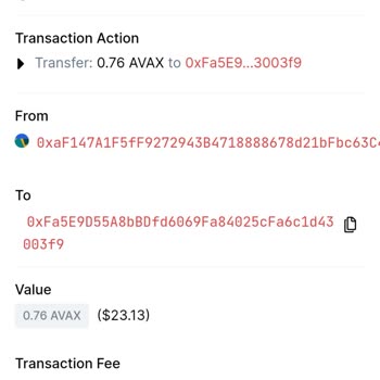 Avax Cüzdanıma Giriyorlar Şifresini Bilmemelerine Rağmen