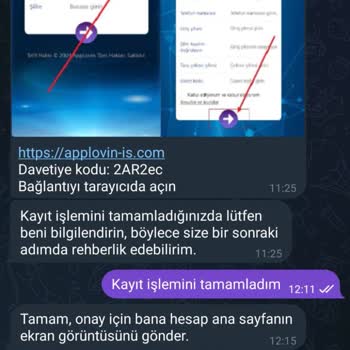 Applovin Sahte Web Sitesi İle Yanıltıcı Uygulama Optimizasyonu