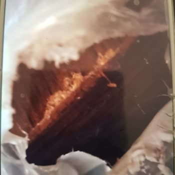 Kelebek Mobilya Büyük Firmaya, Küçük Tüccarlar Yakışmıyor.