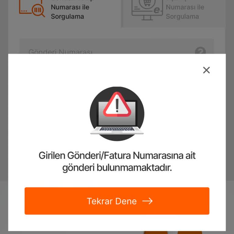 Temudan Yaptığım Alışverişte MNG Kargoda Sipariş Sorgulayamıyorum