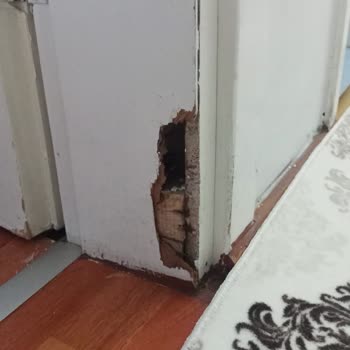 Çetmen Mobilya Müşteri Mağduriyeti Ve Müşteri Oyalama.