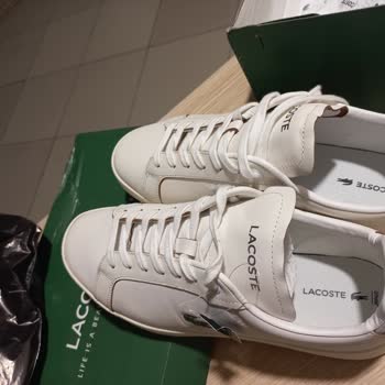 Lacoste Occasion Trendyol Çözümün Sonuç Bulması