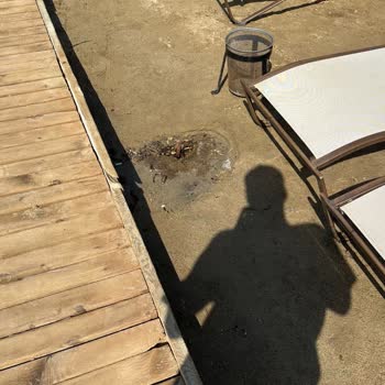 Kadıkale Resort Hotel'de Hayal Kırıklığı Yaşadık