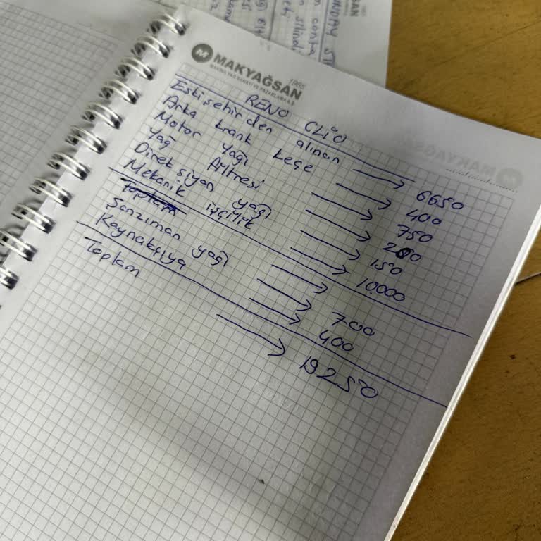 Bozüyük'teki Oto Mekanik Servis Şikayeti