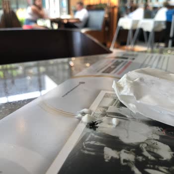 Muratlı Kebapçı İskender'de Sinekli Yemek Servisi