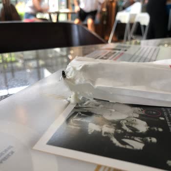 Muratlı Kebapçı İskender'de Sinekli Yemek Servisi