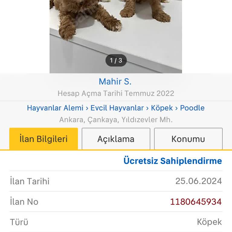 Sahibinden Sitesinin Yanıltıcı Bilgilerle Manipülasyonu