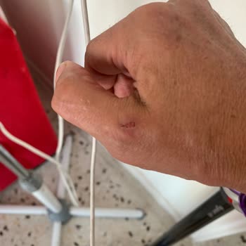 Dyson V8 Dik Süpürge