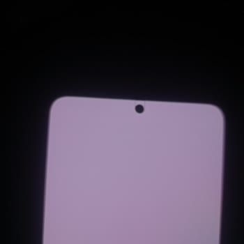 Samsung S22 Ekran Yanığı