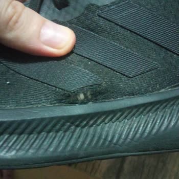 In Street Manisa Magnesia AVM Den Aldığım Adidas Marka Ayakkabı