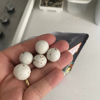 Çitlekçi Yanlış Ürün Ve Fiyatlandırma Sorunu