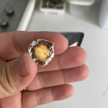 Çitlekçi Yanlış Ürün Ve Fiyatlandırma Sorunu