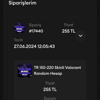 Riotsatis.com Alışveriş Yaptım Ürünü Teslim Etmediler