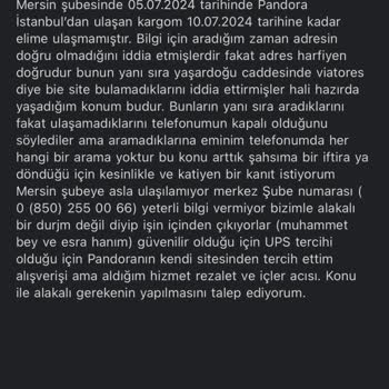UPS Türkiye Mersin Şubesi Kargom Hala Teslim Edilmedi Ve Şahsıma İftira.