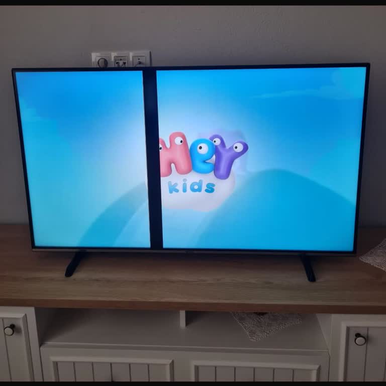 Vestel TV Warranty Dispute: Panel Failure Not Covered