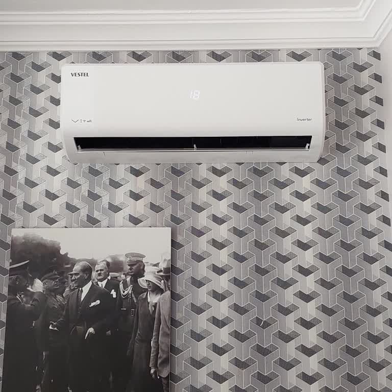 Vestel Klima Pis Koku