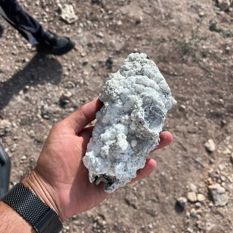 Fiat İkame Araç Sorunu