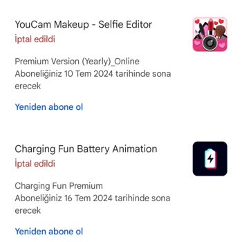 Zipo Apps Ltd Sti Abonelik Ücreti Kesmiş