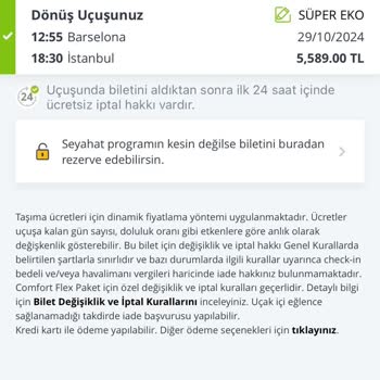 Pegasus Airlines Discount Deception