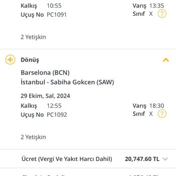 Pegasus Airlines Discount Deception