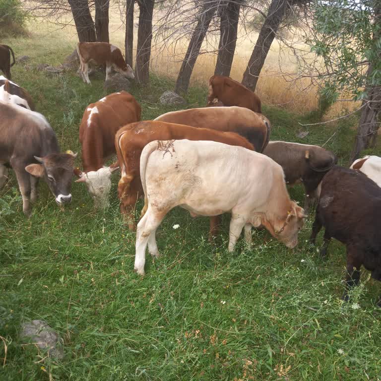 Ziraat Bankası Kişiliğime Hakaret Ettiler