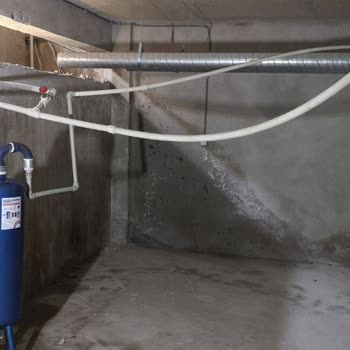 Highlife Yönetim Şirketine Karşı Şikayet Lisanssız Çalışma Ve Tehdit