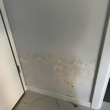 Özbek İnşaat Duvarların Su Alması, Ve Konu İle İlgisizlik