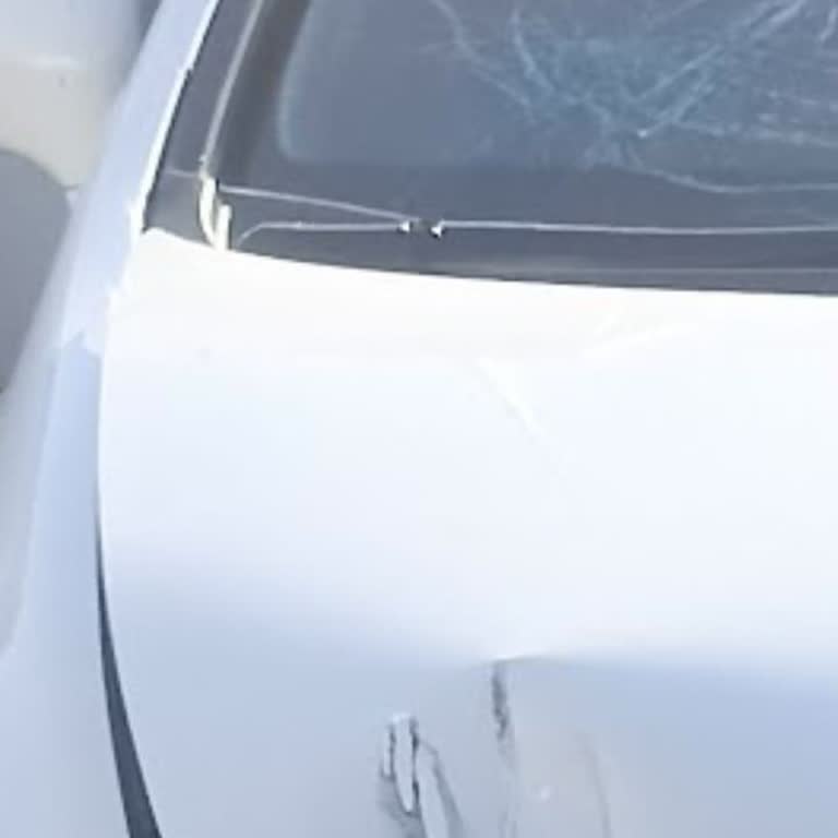 Kayzer Ekspertiz Mağduriyeti