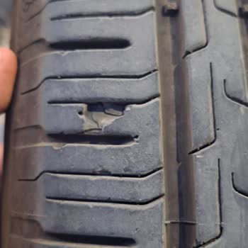 Ford Focus Ve Continental Lastik Pişmanlığı