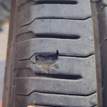 Ford Focus Ve Continental Lastik Pişmanlığı