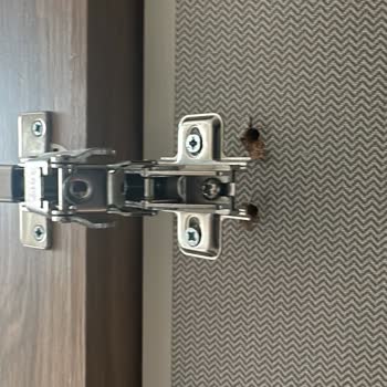 Ergül Mobilya Pişmanlıktır Kesinlikle Para Vermeyin.