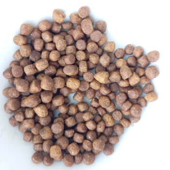 Anadolu Pet Econature Plus Kitten Kediler Yemiyor