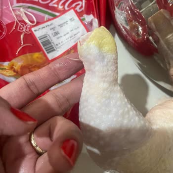 Lezita Tüylü Tavuk Sorunu