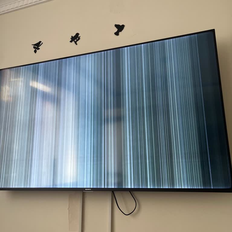 Sunny Acil Çözüm Servis Telefonlara Cevap Vermiyor Ve Ayrıca 6-7 Aylık