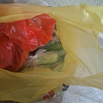 Şok Marketler Tarihi Geçik Bozuk Ürünler