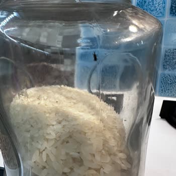 Tat Baldo Pirinç Böcekli Çıktı!