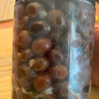 Köklü Zeytincilik Bozuk Zeytin Satışı