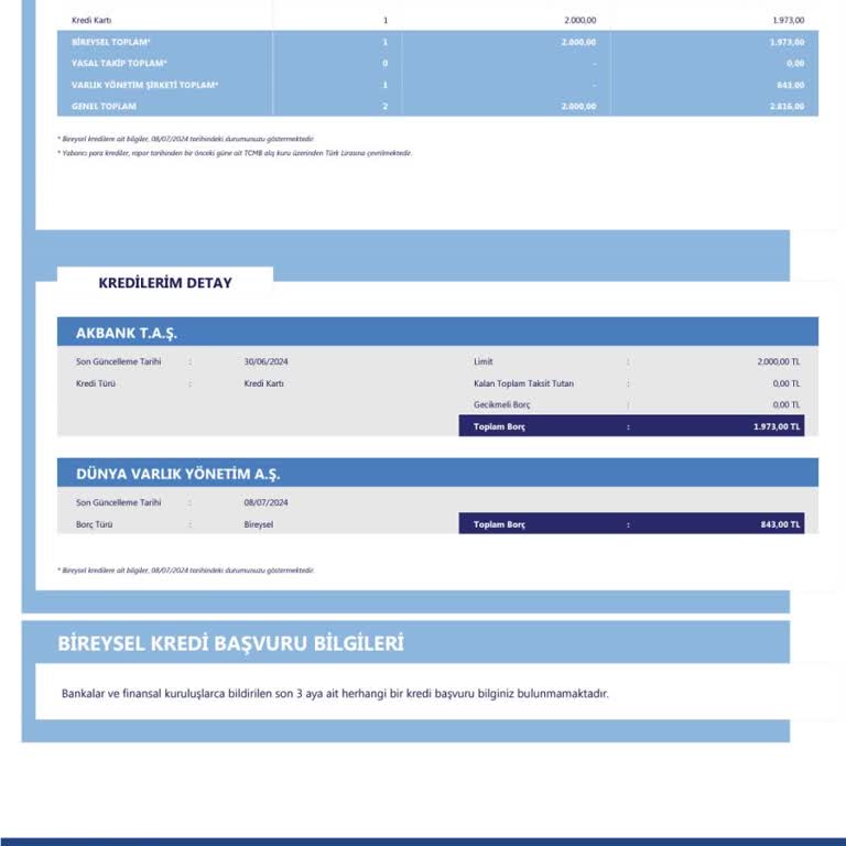 Dünya Varlık Yönetim Şirketi Risk Raporundaki 843 TL Borcu Silmemesi,