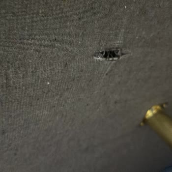 Niens&Siteler Ak Mobilya'nın İnsanları Nasıl Mağdur Ettiği