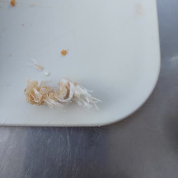 Kaşık-la Mantı Mantıda Kıyma Yerine İp Çıktı