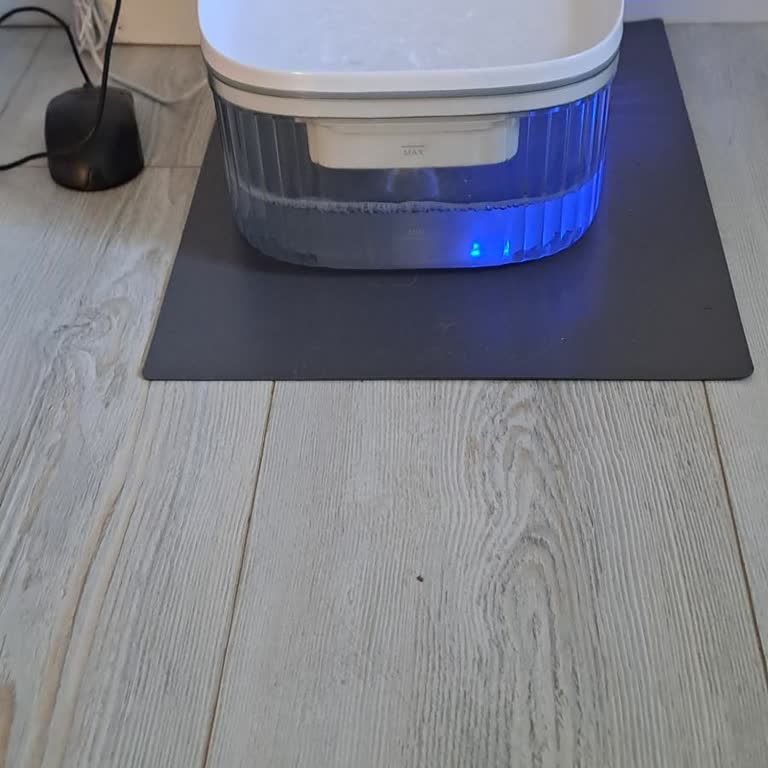 Kiwi Home Evcil Hayvan Su Pınarı Filtresi Temin Edilmiyor!