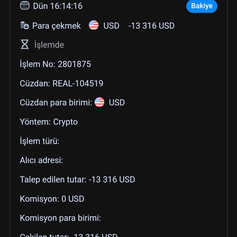 Binance Bn Teknoloji Finans Firması