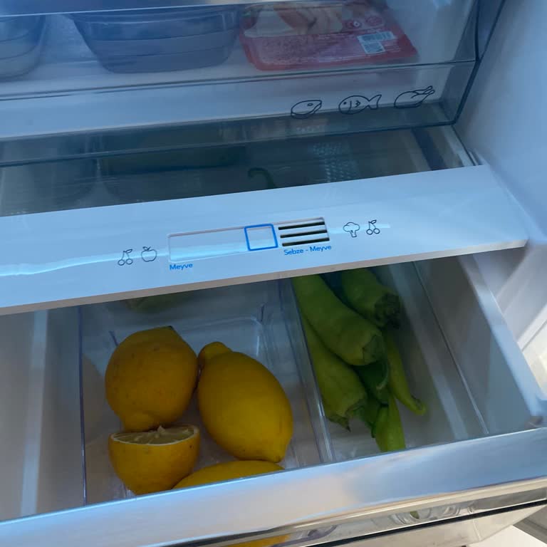 Vestel NFK64012 Buzdolabı Sebzeliği