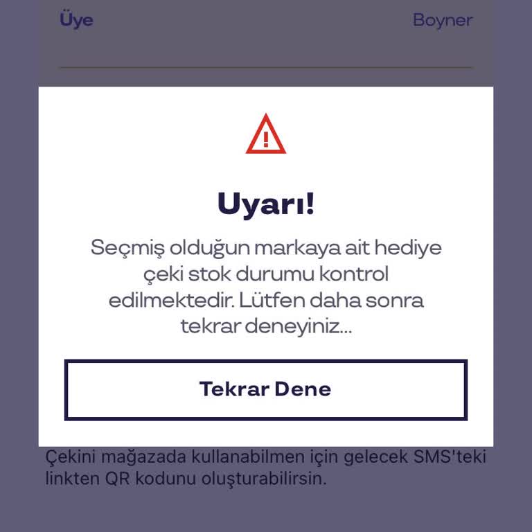 Pluxee Hediye Çeki Kullanma Problemi Ve Bakiye Görememe