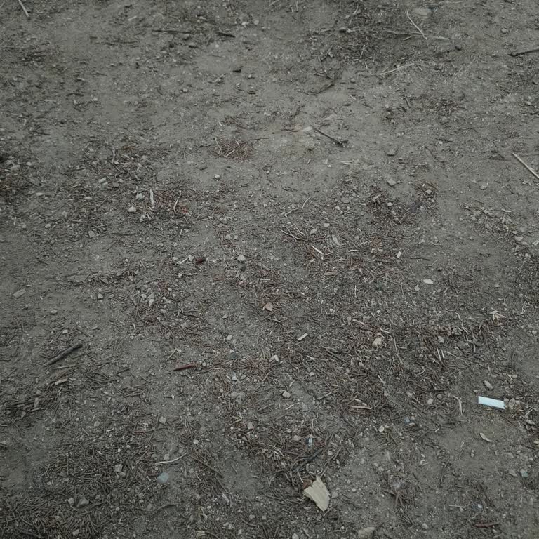 Daikin Menemen Yetkili Servis